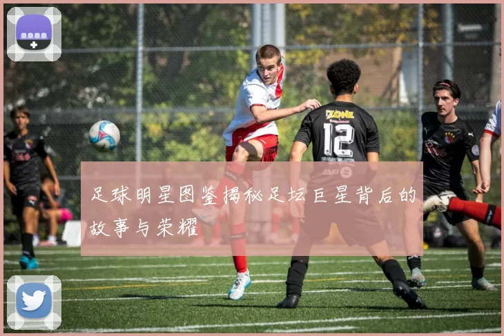 足球明星图鉴揭秘足坛巨星背后的故事与荣耀