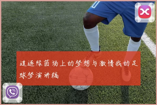 追逐绿茵场上的梦想与激情我的足球梦演讲稿