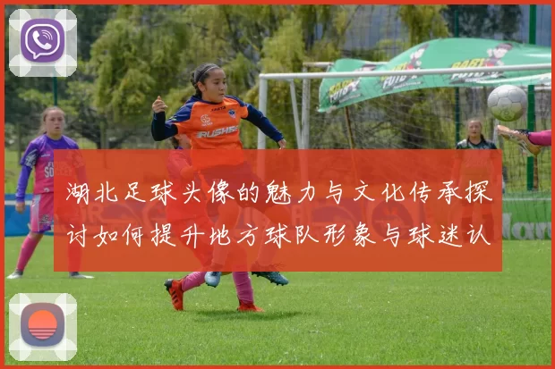 湖北足球头像的魅力与文化传承探讨如何提升地方球队形象与球迷认同感