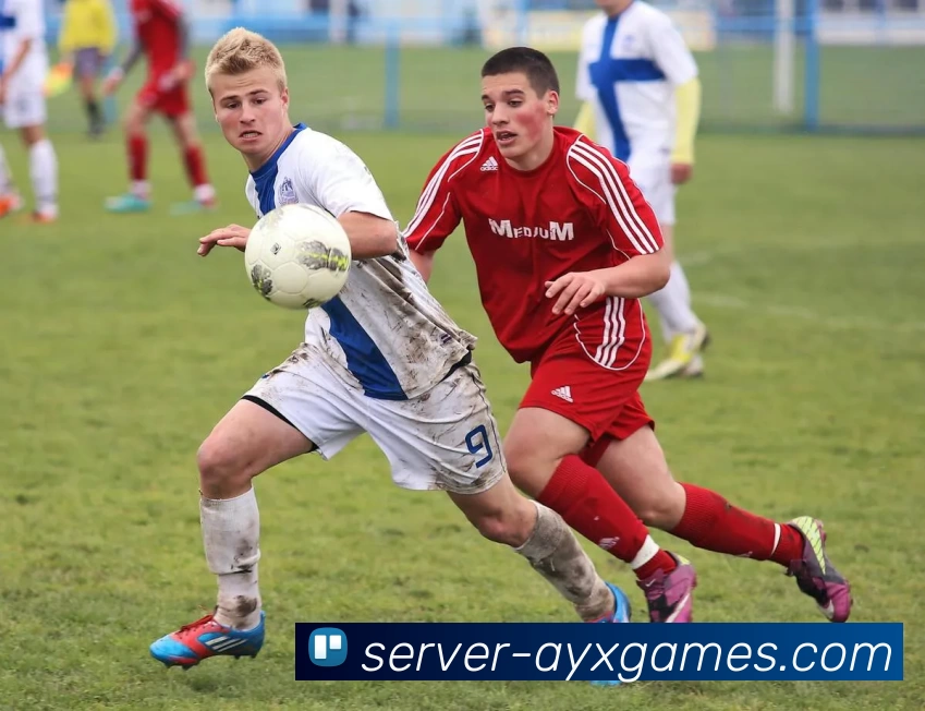 爱游戏发展历程